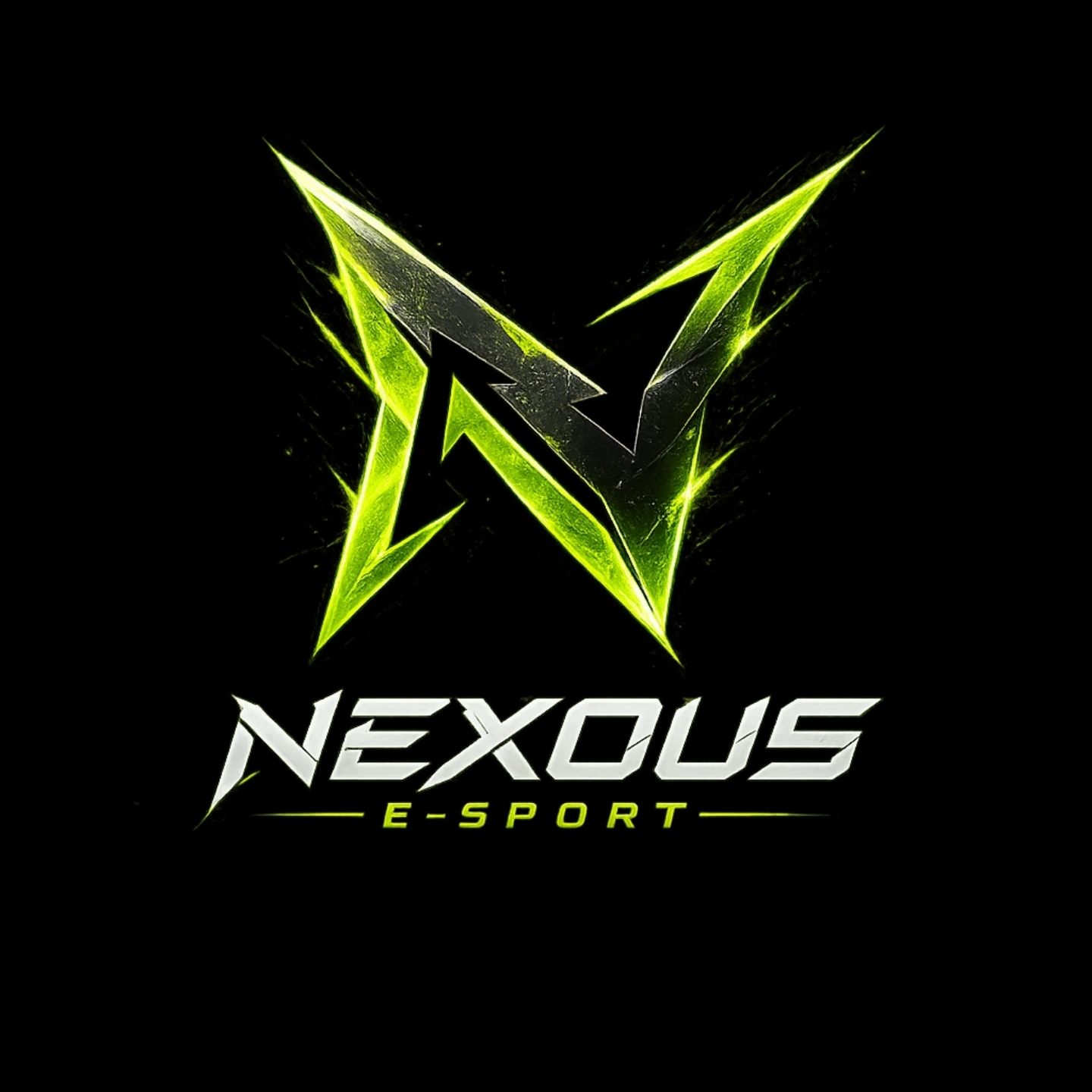 Logo de Nexous E-Sport
